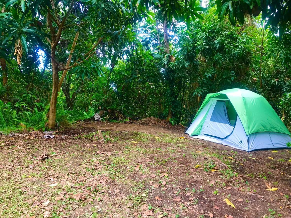 Jubilee Campsite Swim & Paint Las Piedras Екстер'єр фото
